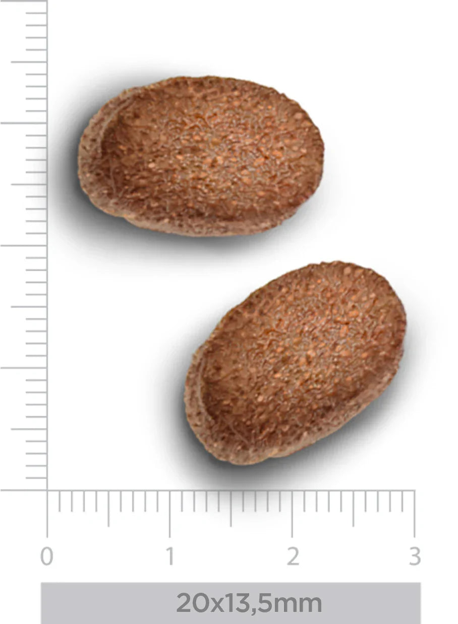 TrovetPlus Hypoallergenic - Insetti Freschi - Crocchette ipoallergeniche per Cani Adulti con intolleranze - Grain Free