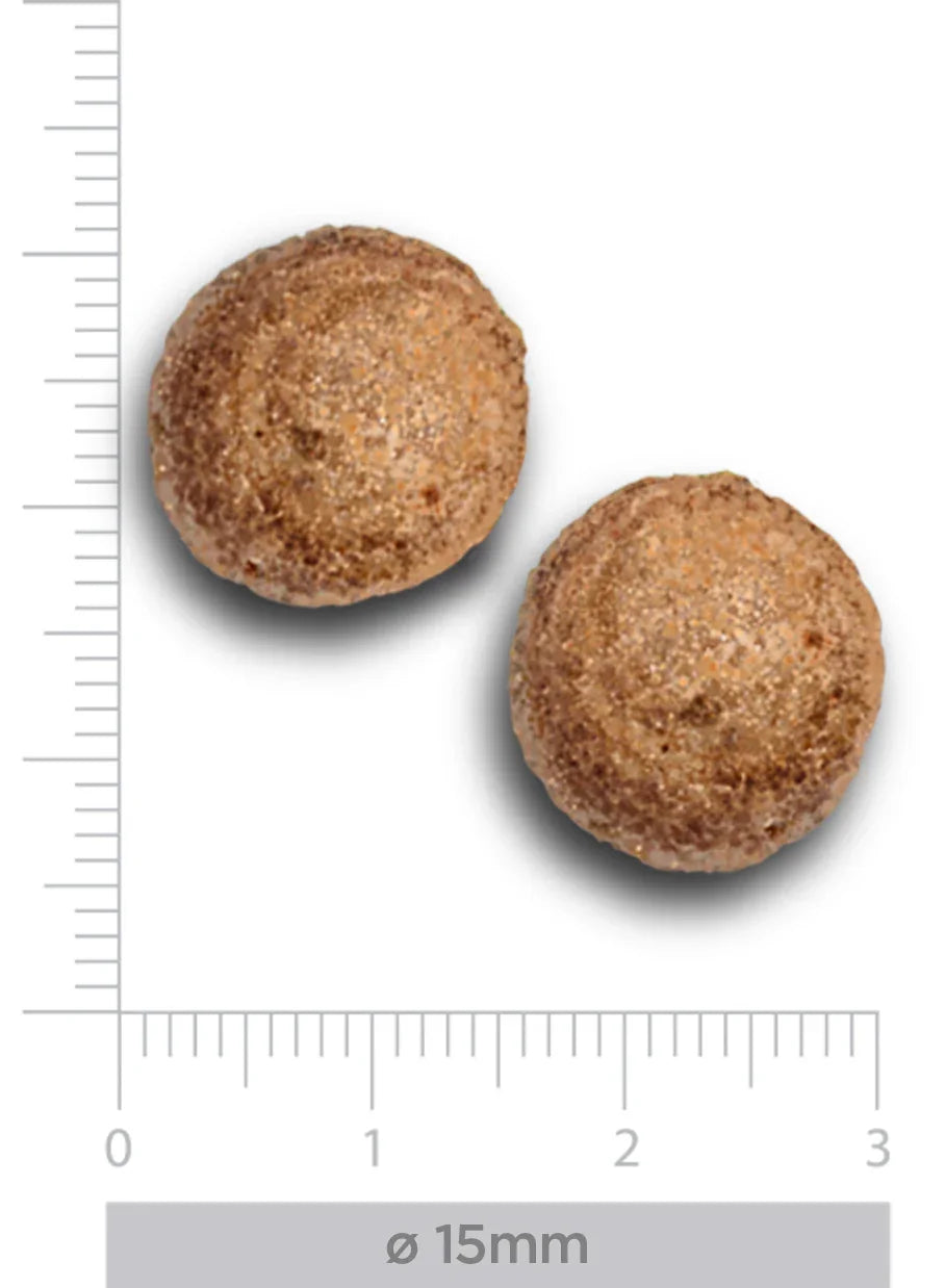 TrovetPlus Intestinal - Tacchino - Crocchette ipoallergeniche per la digestione per Cani Adulti - Grain Free