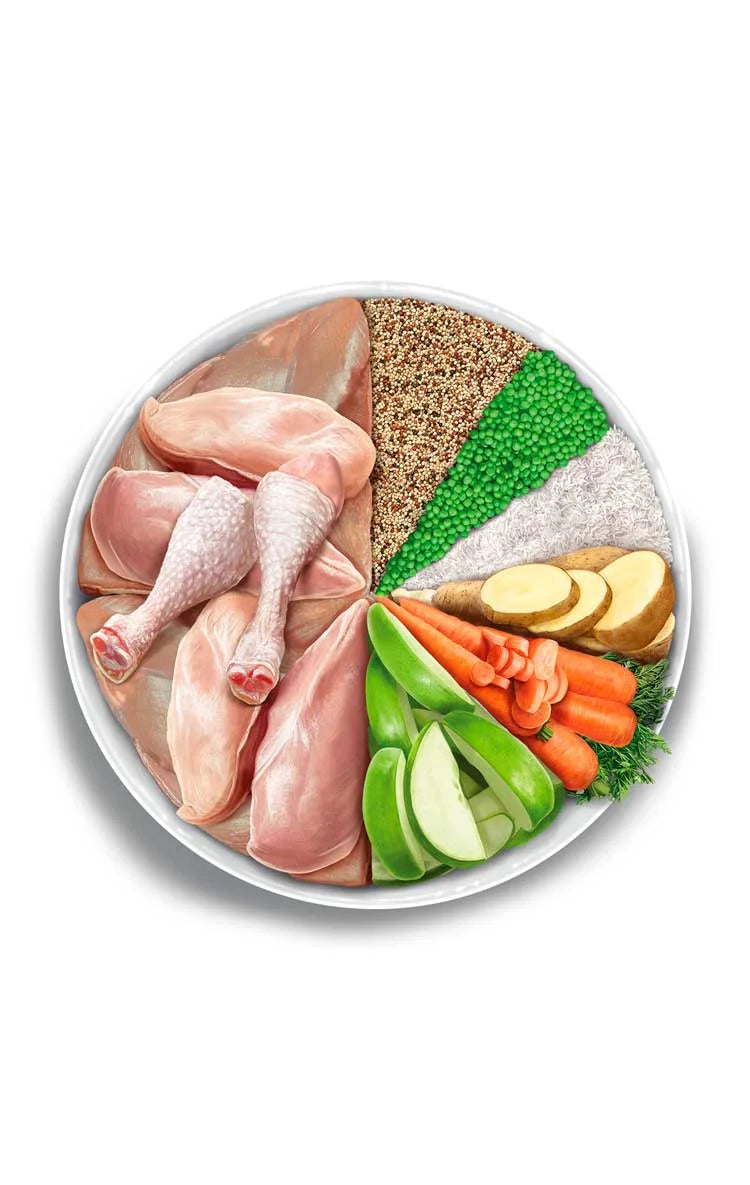 Amanova - Kitten - Exquisite Chicken - Pollo fresco