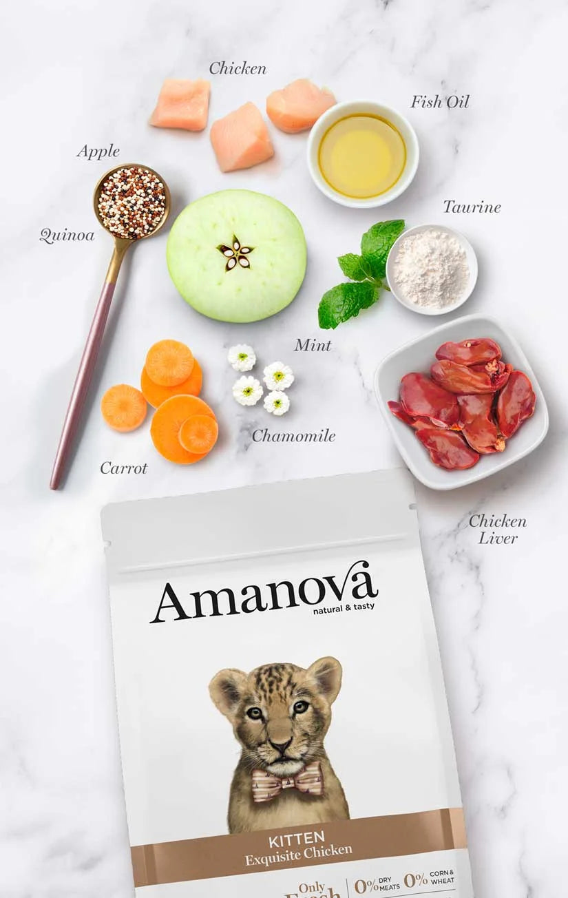 Amanova - Kitten - Exquisite Chicken - Pollo fresco