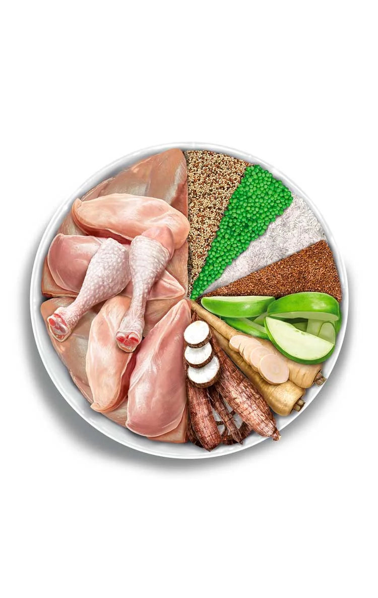 Amanova - Adult Cat - Exquisite Chicken - Pollo fresco