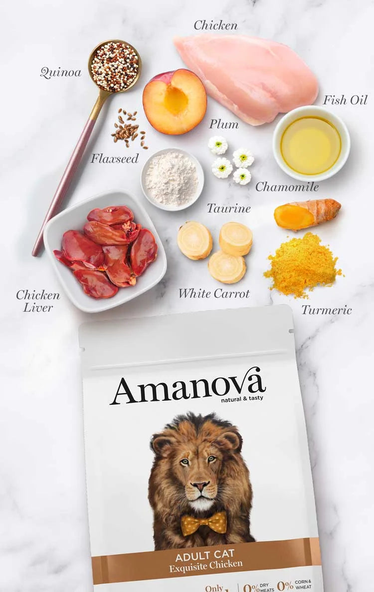 Amanova - Adult Cat - Exquisite Chicken - Pollo fresco
