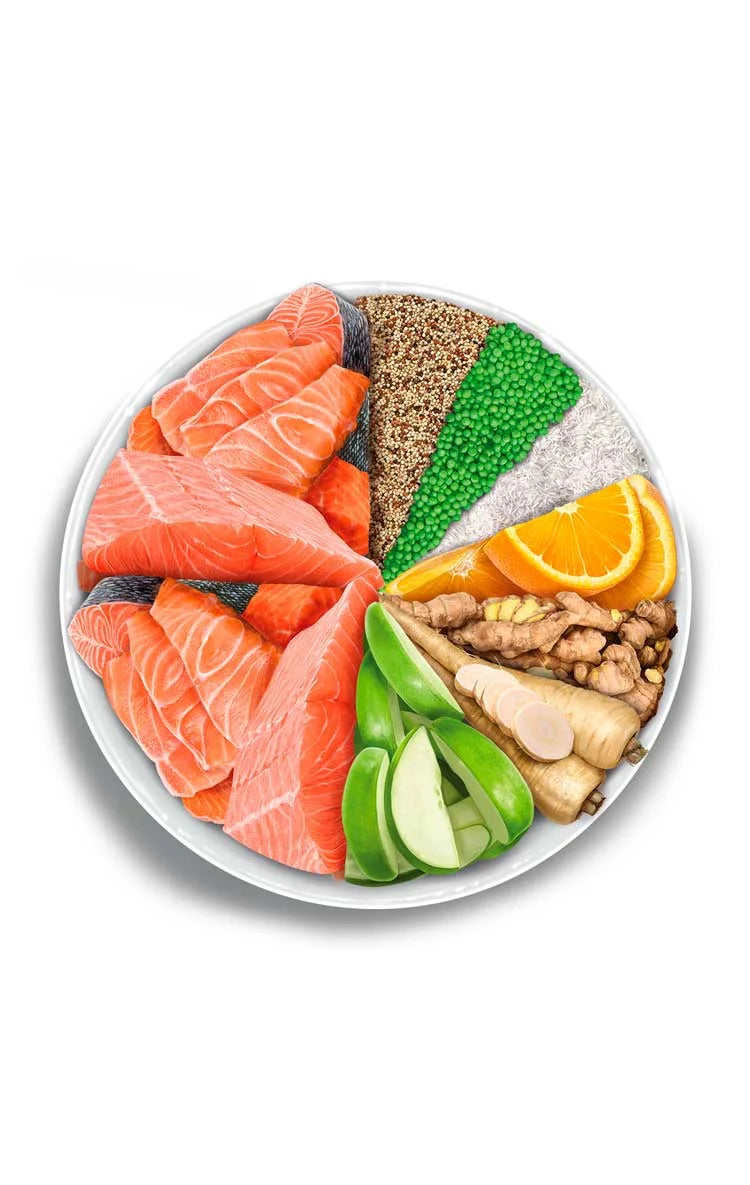 Amanova - Adult Cat - Salmon Deluxe - Salmone fresco