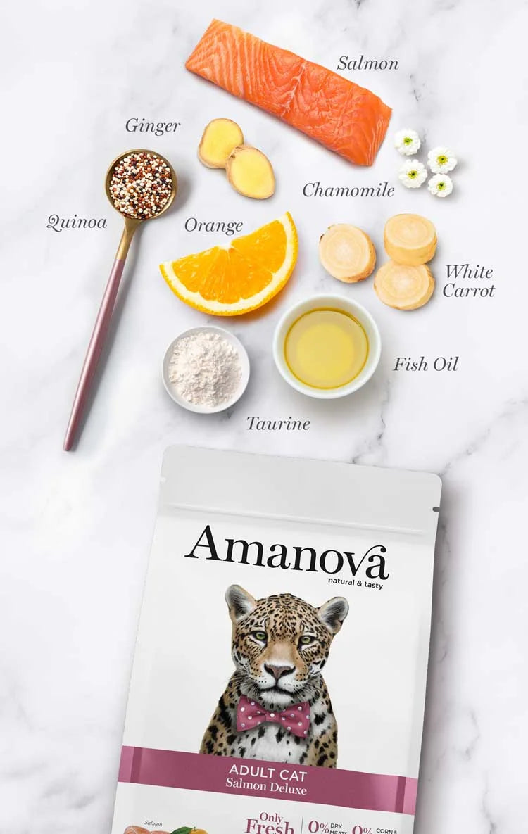 Amanova - Adult Cat - Salmon Deluxe - Salmone fresco