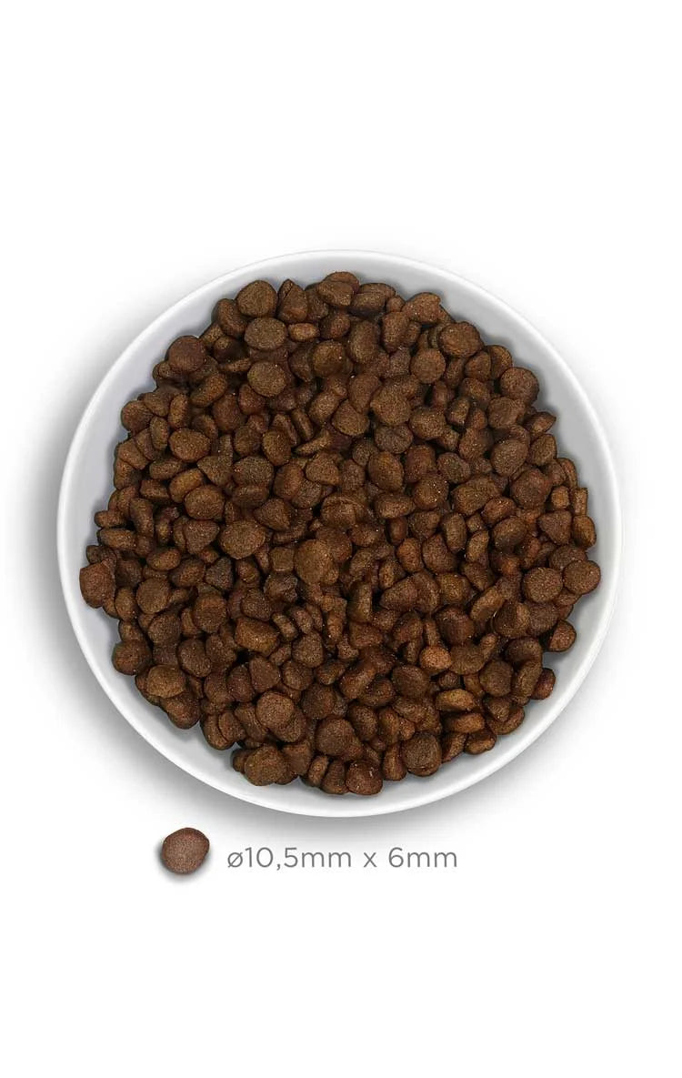 Amanova - Adult Cat - Turkey Delight - Tacchino fresco