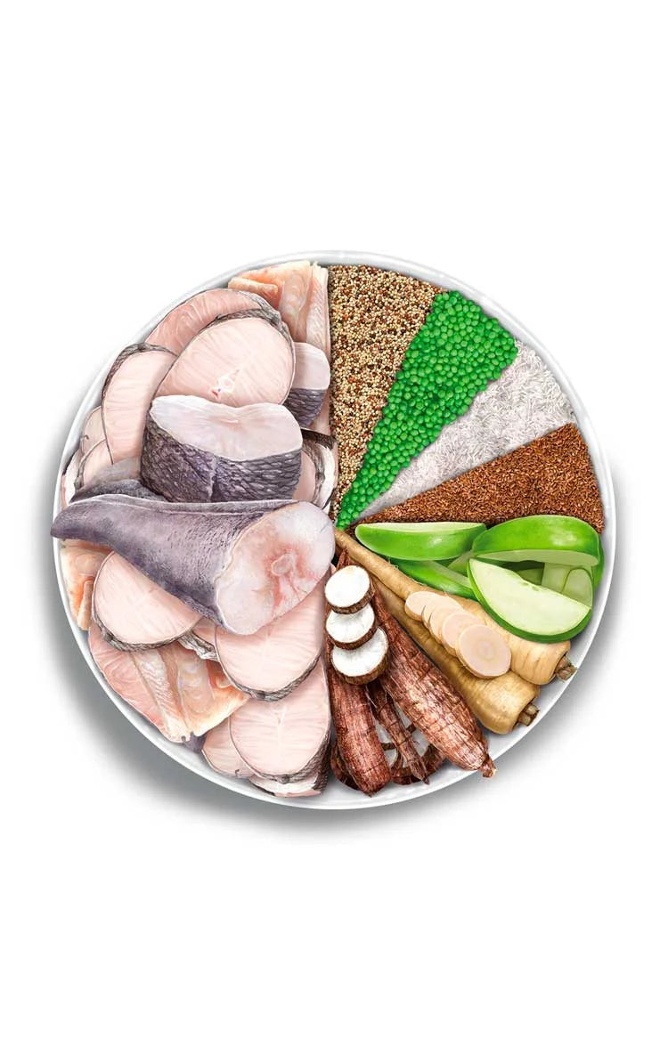 Amanova - Adult Cat - Fish Delicacy - Pesce bianco fresco