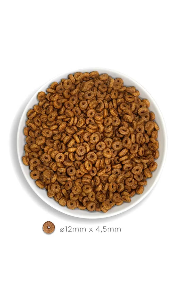 Amanova - Adult Cat - Fish Delicacy - Pesce bianco fresco