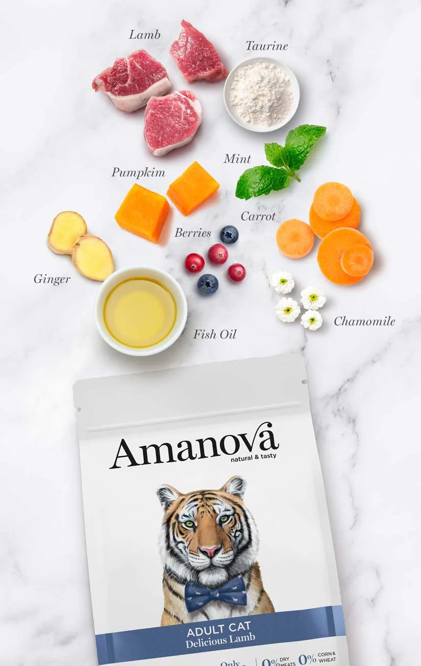Amanova - Adult Cat - Delicious Lamb - Agnello fresco