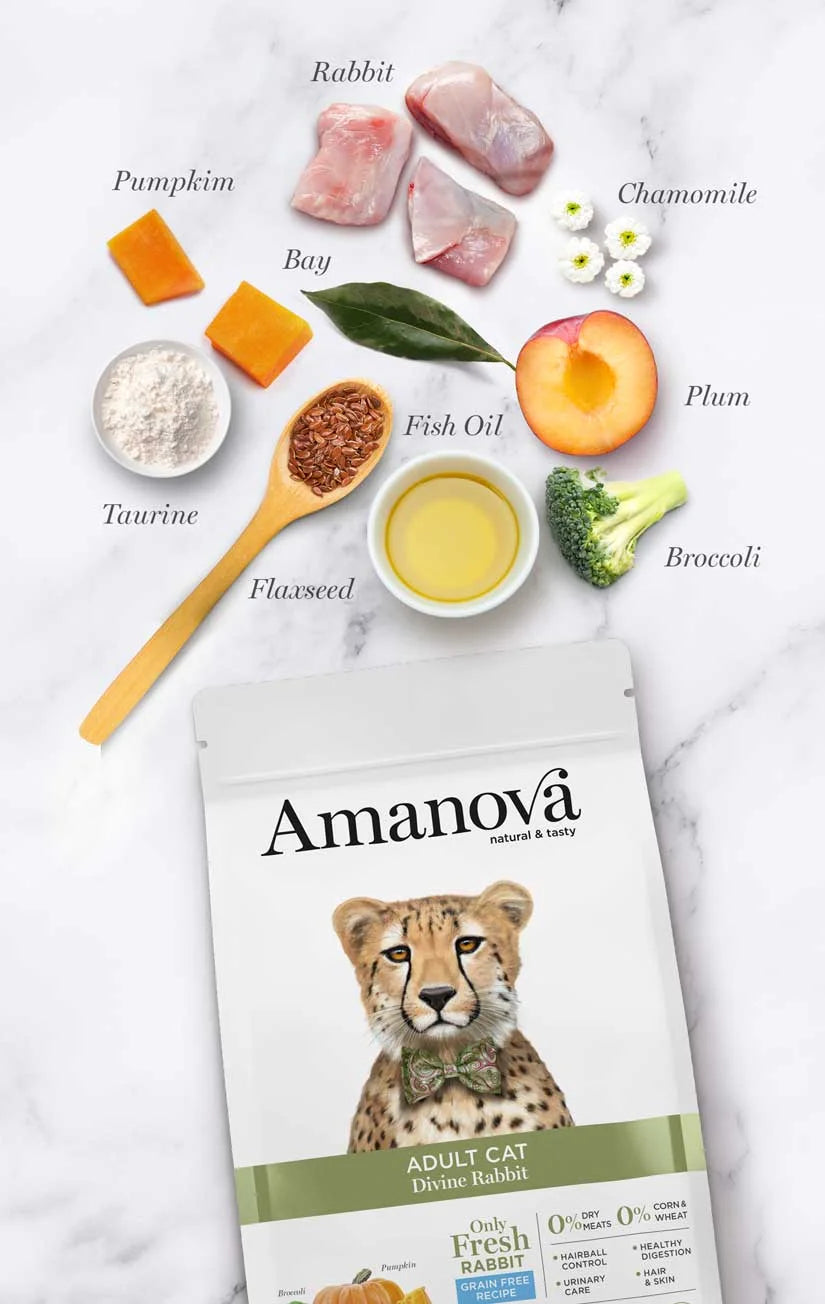 Amanova - Adult Cat - Divine Rabbit - Coniglio fresco