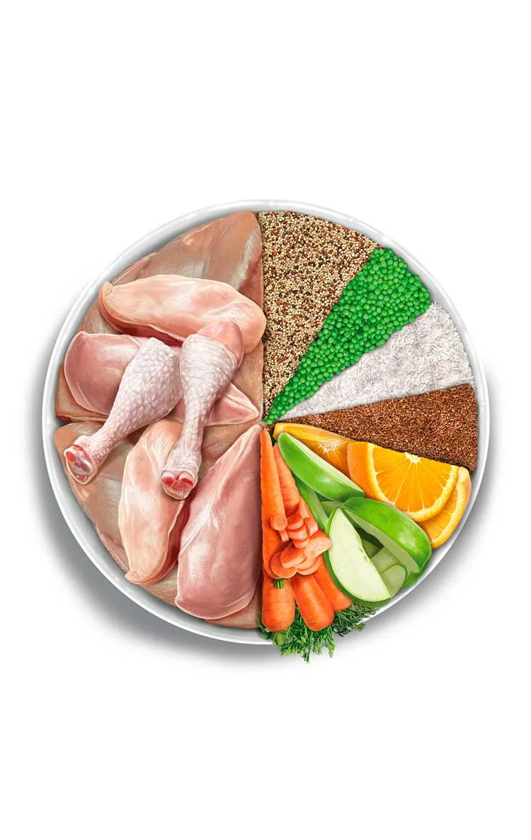 Amanova - Sterilised Cat - Exquisite Chicken - Pollo fresco