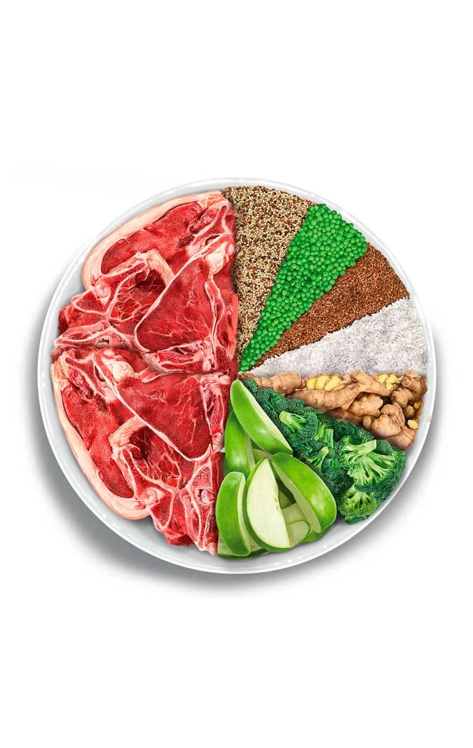 Amanova - Sterilised Cat - Delicious Lamb - Agnello fresco