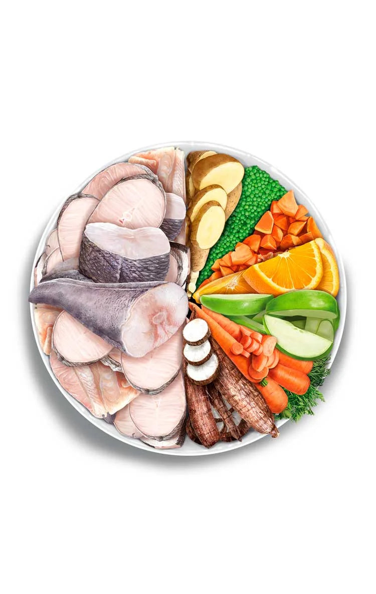 Amanova - Sterilised Cat - Fish Delicacy - Pesce bianco fresco