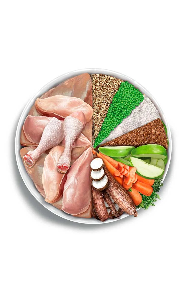 Amanova - Puppy mini - Exquisite Chicken - Pollo fresco