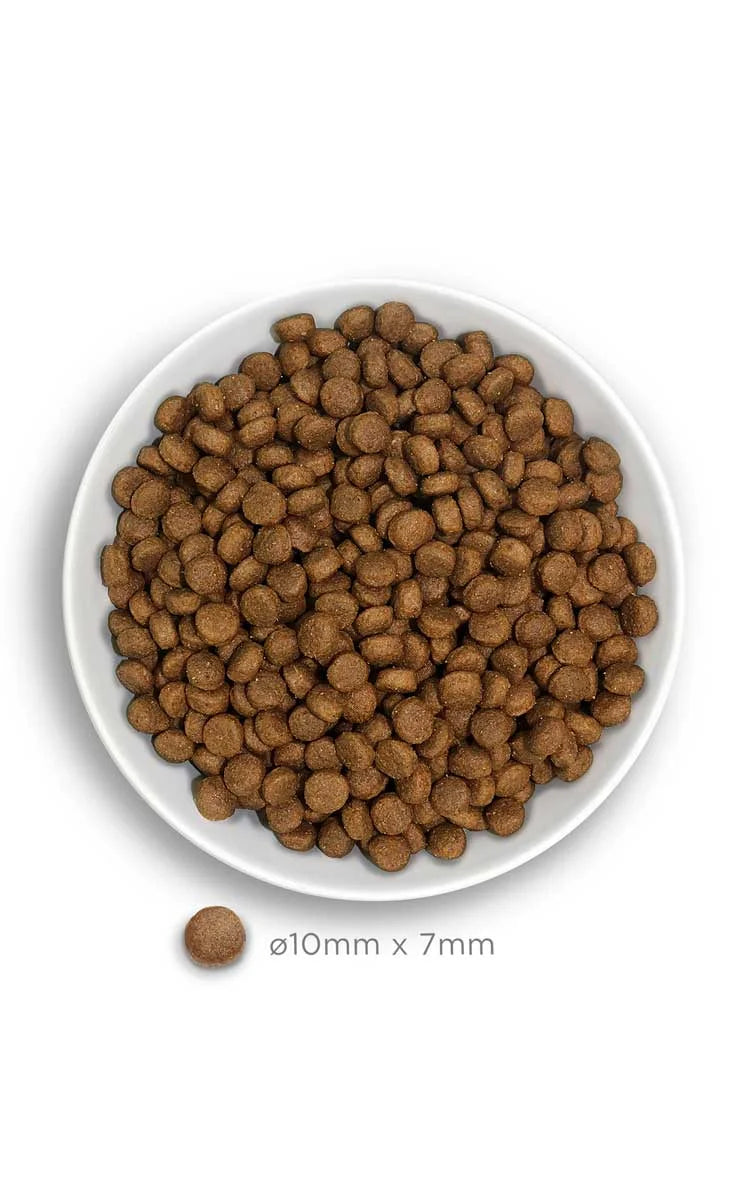 Amanova - Puppy medium - Exquisite Chicken - Pollo fresco