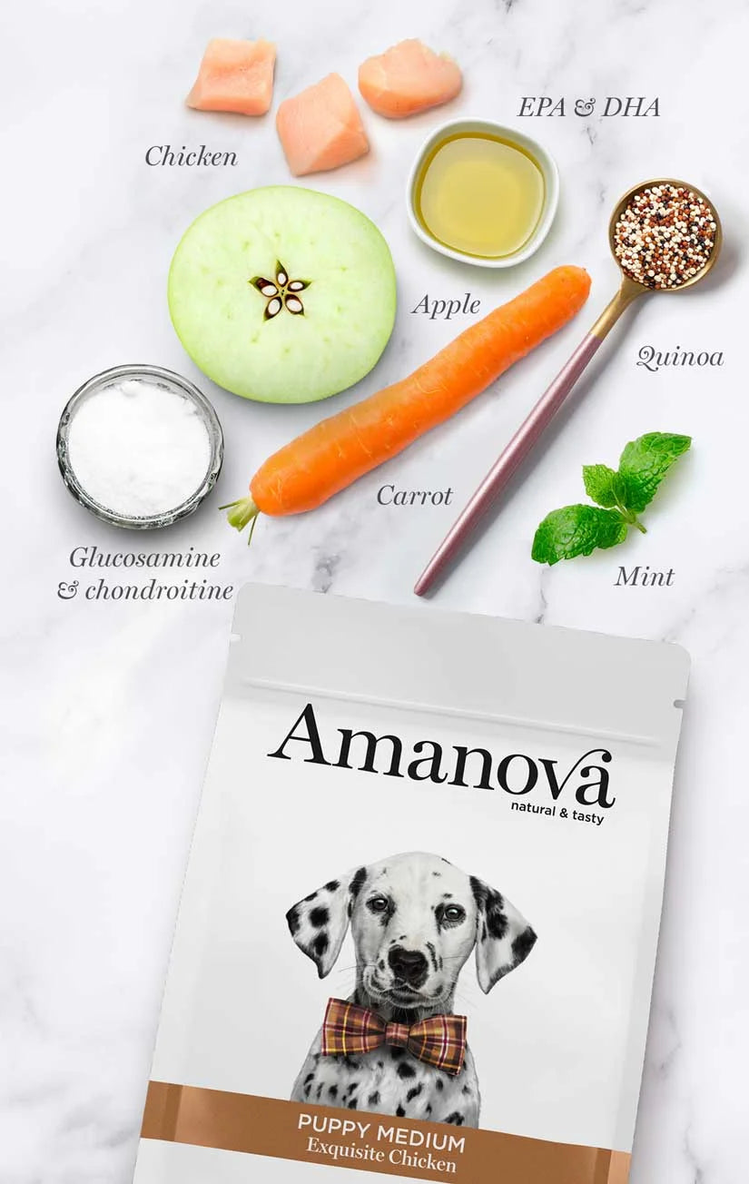 Amanova - Puppy medium - Exquisite Chicken - Pollo fresco