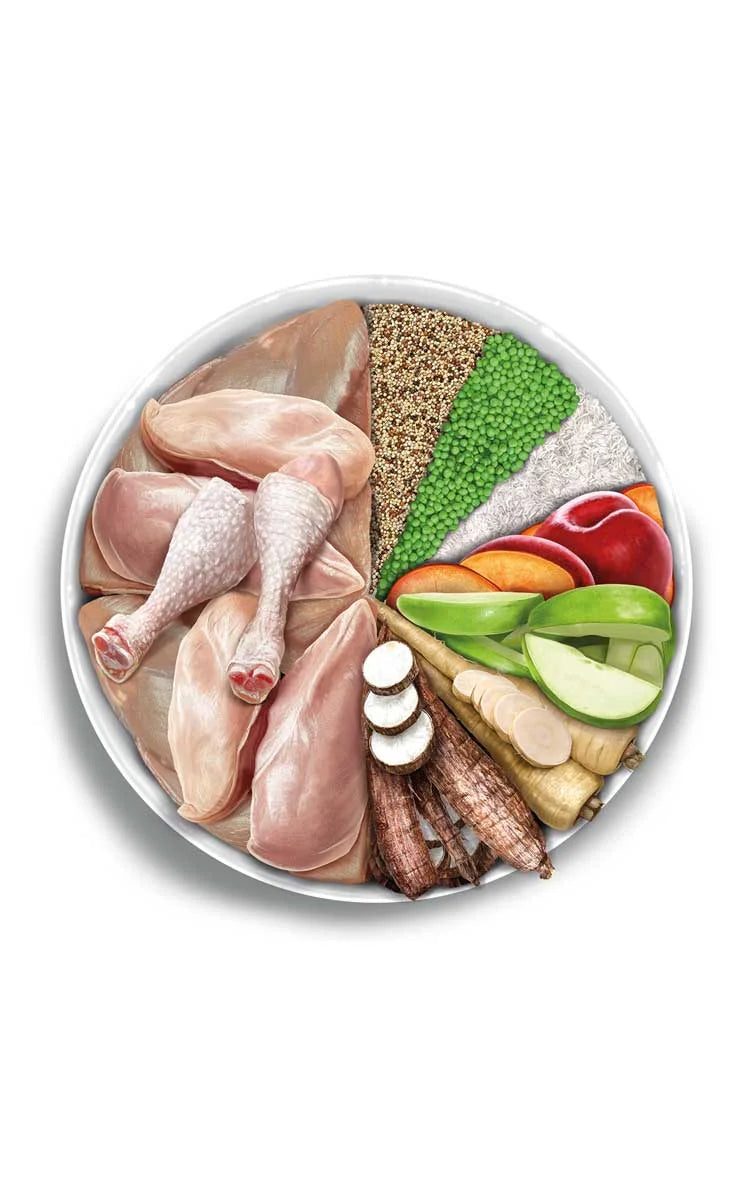 Amanova - Puppy large - Exquisite Chicken - Pollo fresco - 12 kg