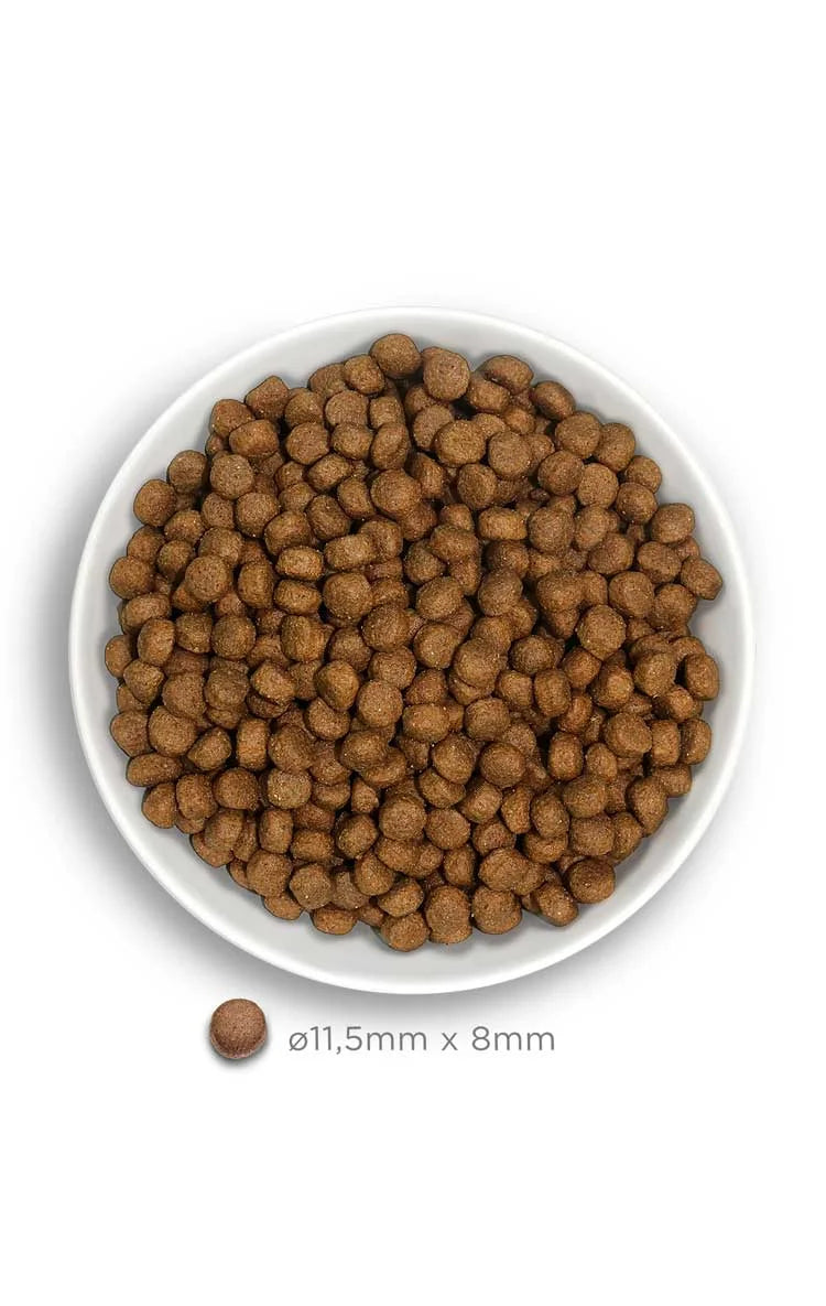 Amanova - Puppy large - Exquisite Chicken - Pollo fresco - 12 kg