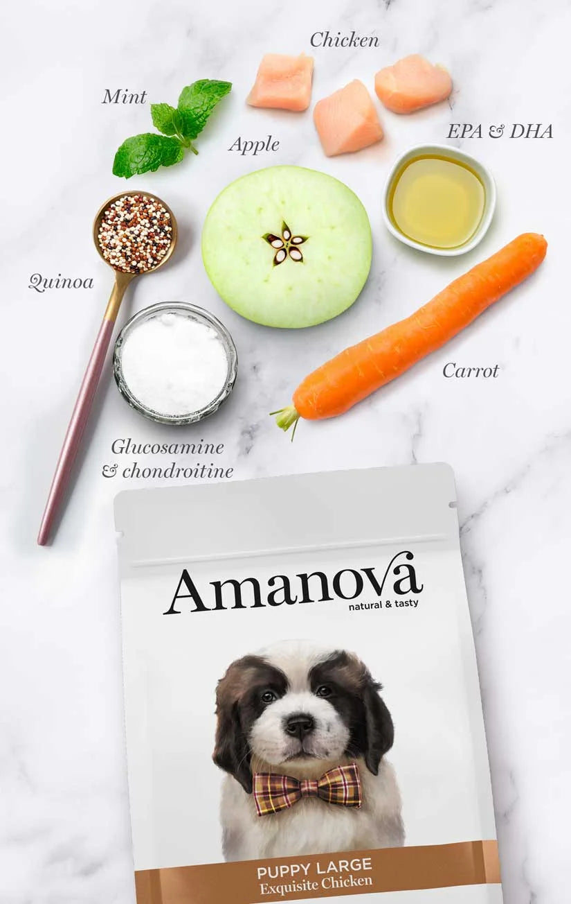 Amanova - Puppy large - Exquisite Chicken - Pollo fresco - 12 kg