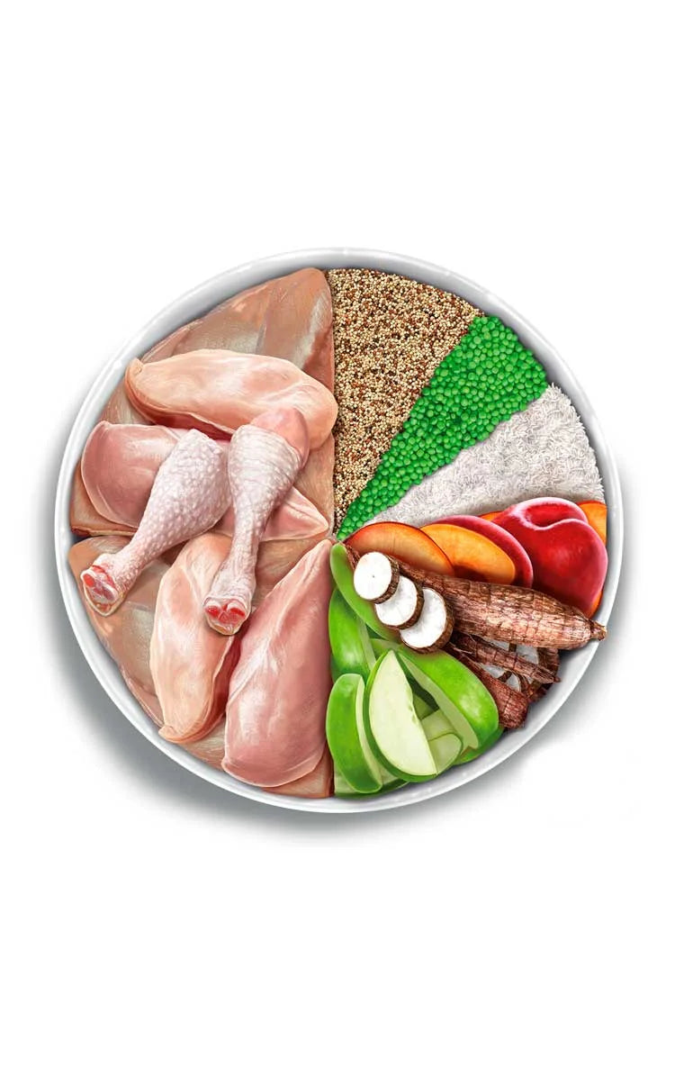 Amanova - Adult mini - Exquisite Chicken - Pollo fresco