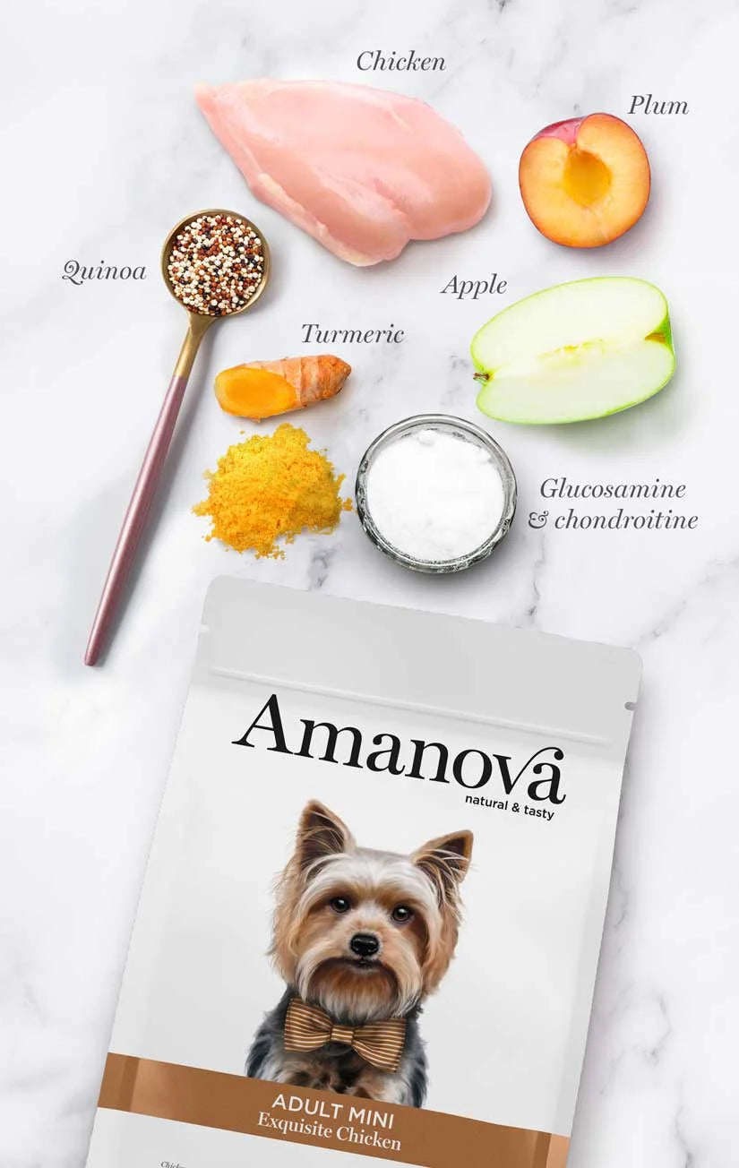 Amanova - Adult mini - Exquisite Chicken - Pollo fresco