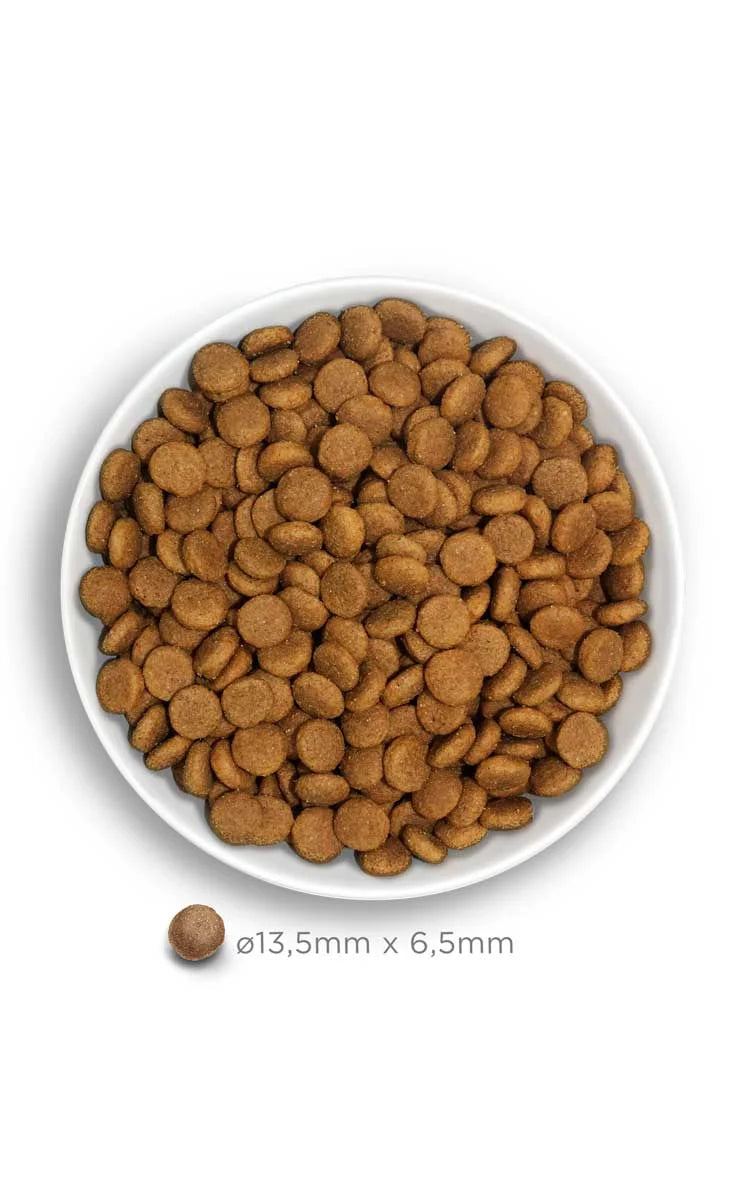 Amanova - Adult medium - Exquisite Chicken - Pollo fresco