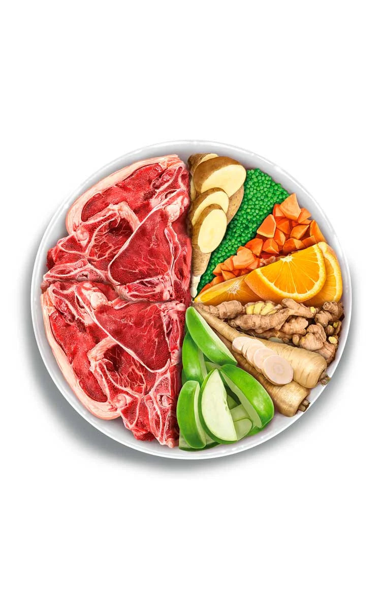 Amanova - Adult exigent - Iberian Pork - Maiale iberico fresco