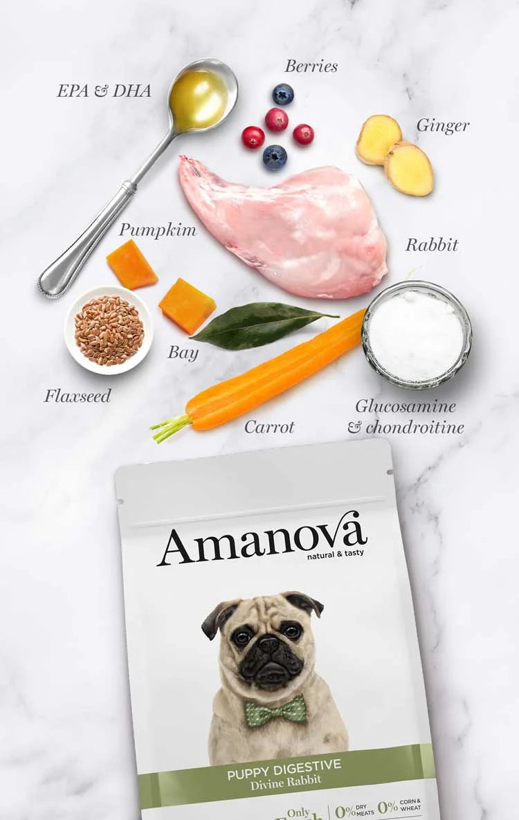 Amanova - Puppy digestive - Divine Rabbit - Coniglio fresco