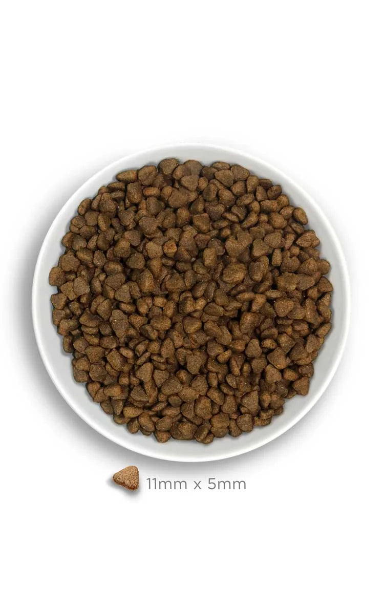 Amanova - Adult mini digestive - Divine Rabbit - Coniglio fresco