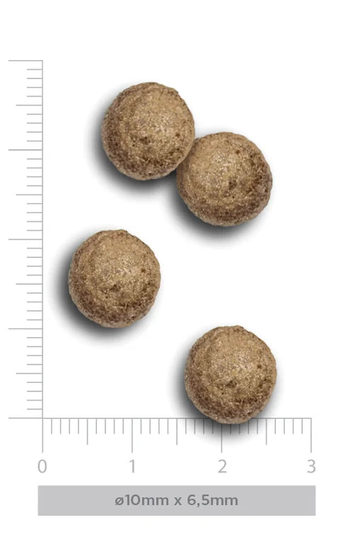 Amanova - Adult mini obesity - Turkey Delight - Tacchino fresco