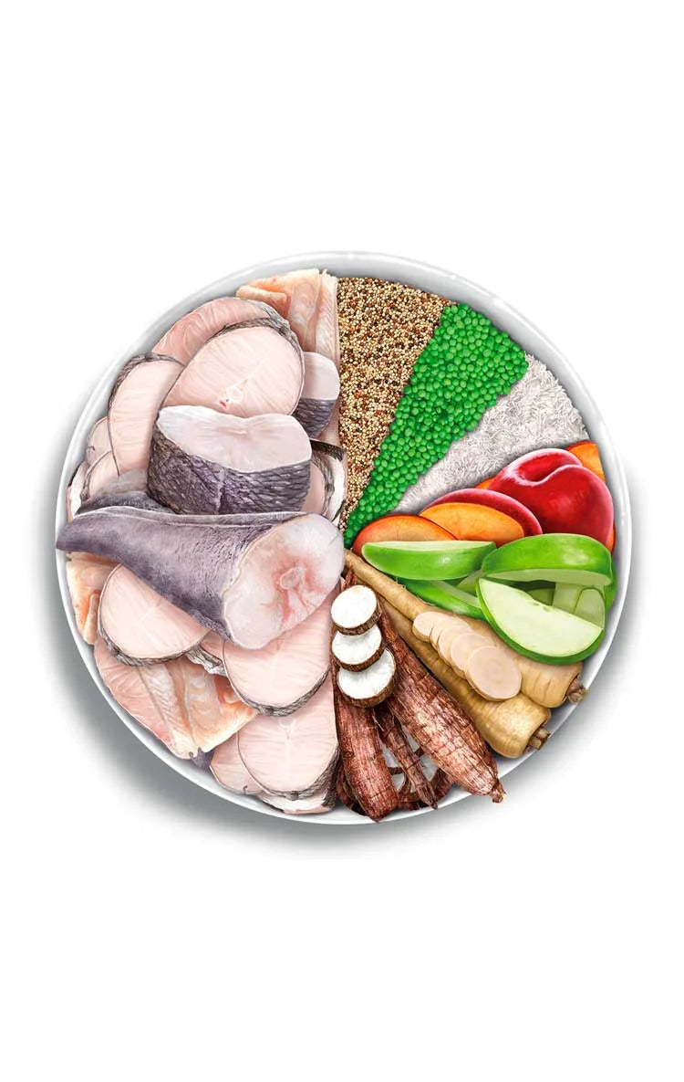 Amanova - Adult mobility - Fish Delicacy - Pesce bianco fresco