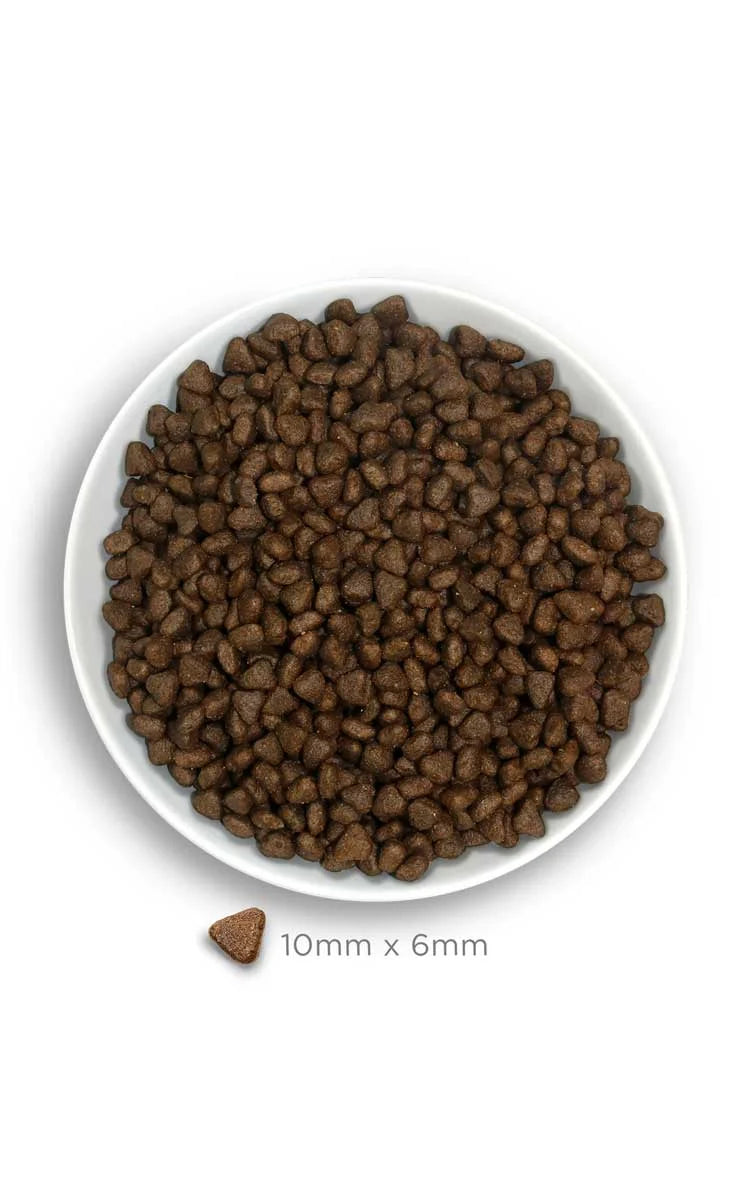 Amanova - Puppy sensitive - Salmon Deluxe - Salmone fresco