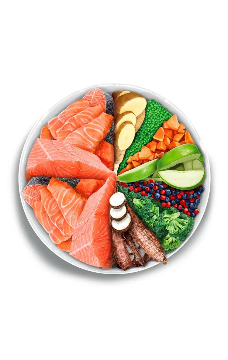 Amanova - Adult mini sensitive - Salmon Deluxe - Salmone fresco